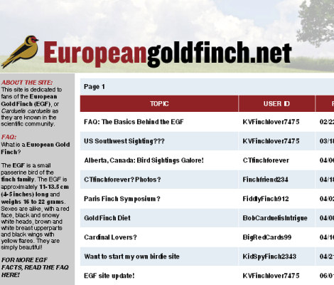 european-golfinch-net.jpg