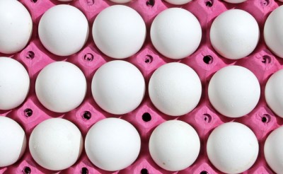 5 Interesantes formas de reciclar la bandeja de huevos