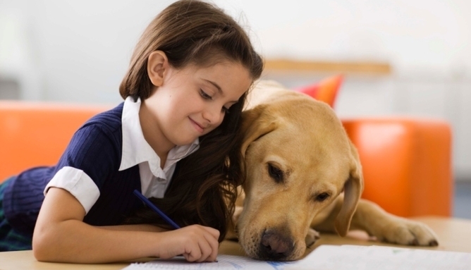 Girl with dog and homework