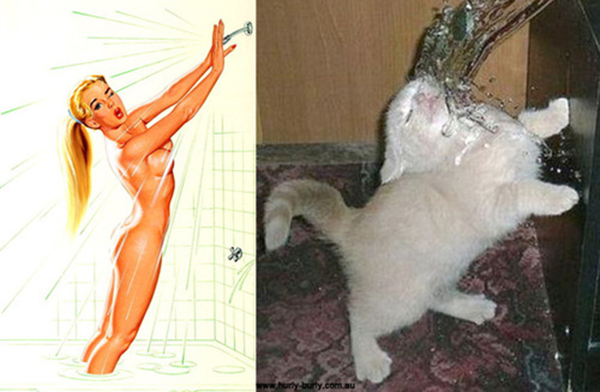 gato-imitando-a-chica-sexy-en-la-ducha
