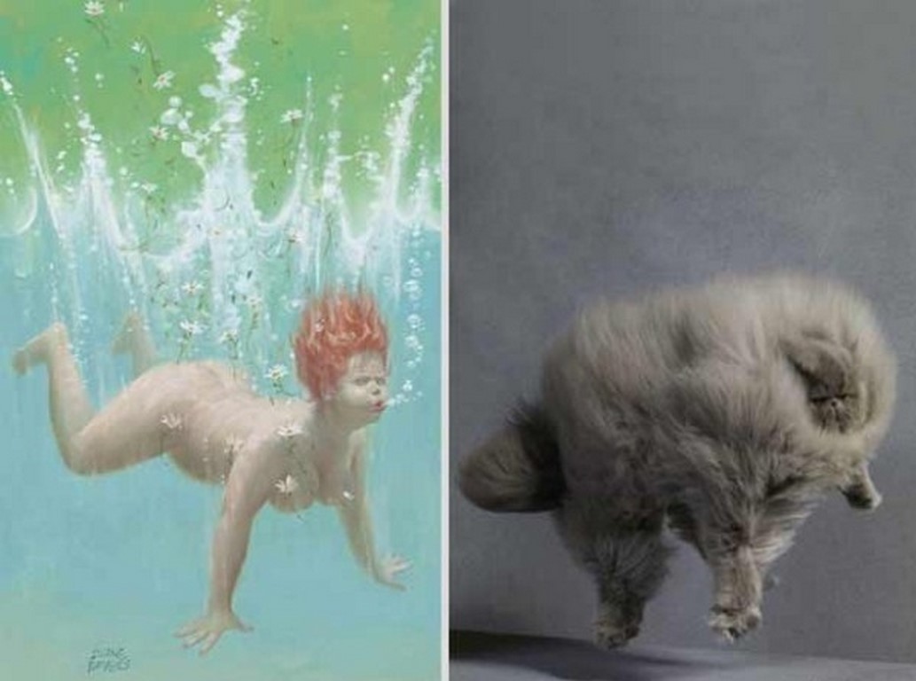 gato-imitando-chica-bajo-agua-piscina