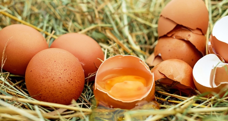 huevos-y-colesterol