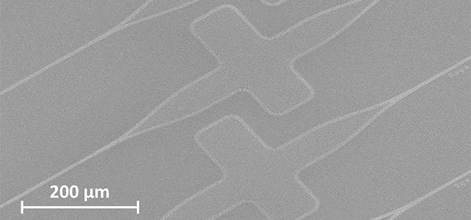 Imagen de microscopio de la estructura usada para medir el divisor nanofotónico en un chip de silicio.
