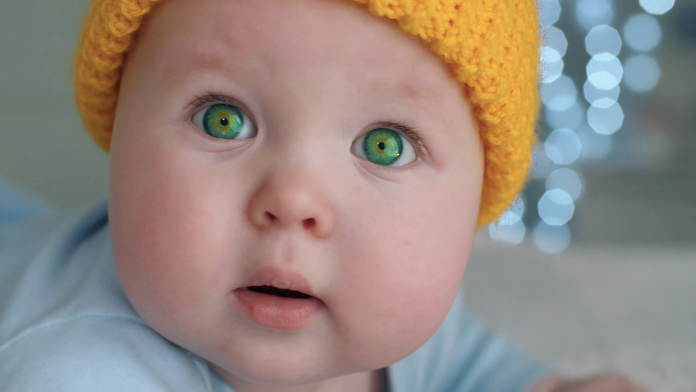 la genetica de los ojos verdes